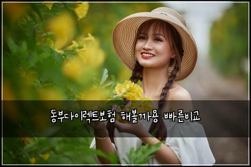 동부다이렉트보험 해볼까용  빠른비교