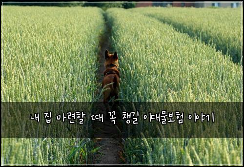 내 집 마련할 때 꼭 챙길 이대물보험 이야기