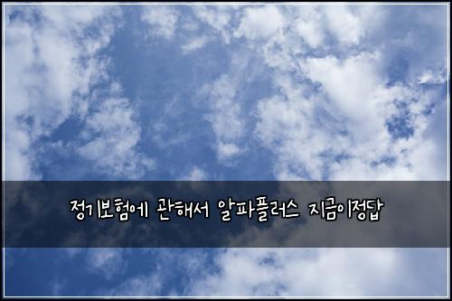정기보험에 관해서 알파플러스 지금이정답