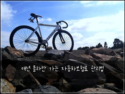 매년 올라만 가는 자동차보험료 관리법