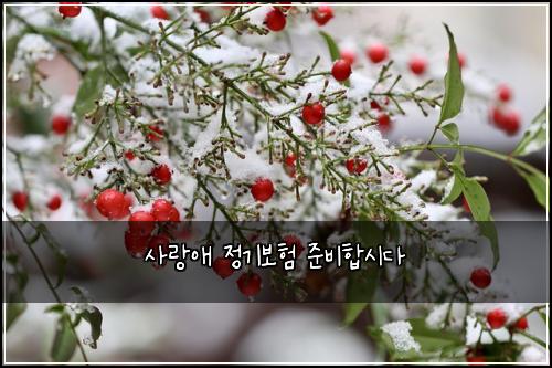 ์ฌ๋์ ์ ๊ธฐ๋ณดํ ์ค๋นํฉ์๋ค