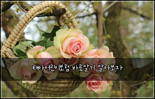 태아어린이보험 바로알기  알아보자