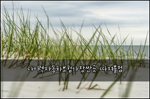 ๋ค์ด๋ ์๋์ฐจ๋ณดํ๊ฐ์ฅ์ผ๊ณณ ๋ฐ์ ธ๋ณผ์ 