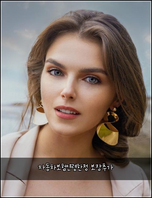 μλ차보νμ°λ Ήνμ 보μ₯μΆκ°