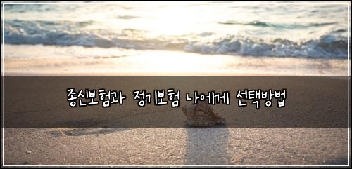 종신보험과 정기보험 나에게 선택방법