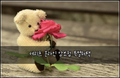 메리츠 온라인 암보험 특별혜택 