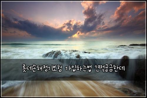 롯데손해정기보험 가입하는법  견적궁금한데