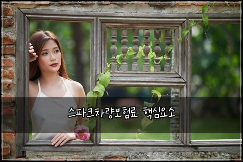 ์คํํฌ์ฐจ๋๋ณดํ๋ฃ ํต์ฌ์์