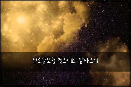 난소암보험 정보에요  알아보기