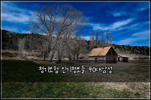 정기보험 인기정보들  40대남성