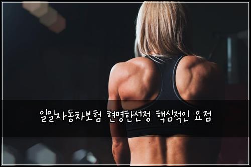 ์ผ์ผ์๋์ฐจ๋ณดํ ํ๋ช
ํ์ ์ ํต์ฌ์ ์ธ ์์ 