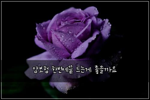 ์๋ณดํ ํ๋ฒ์๋ ๋๋๊ฒ ์ข์๊น์
