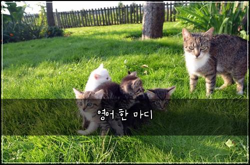 영어 한 마디