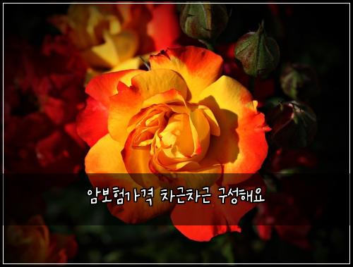 ์๋ณดํ๊ฐ๊ฒฉ ์ฐจ๊ทผ์ฐจ๊ทผ ๊ตฌ์ฑํด์