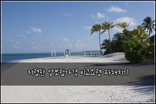 ์ ๋ ดํ ์๋ณดํ๊ฐ๊ฒฉ ๋น๊ต์๋ น ํํด์น๊ธฐ