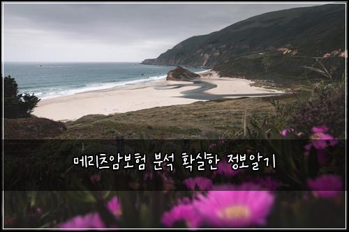 λ©λ¦¬μΈ μ보ν λΆμ νμ€ν μ 보μκΈ°