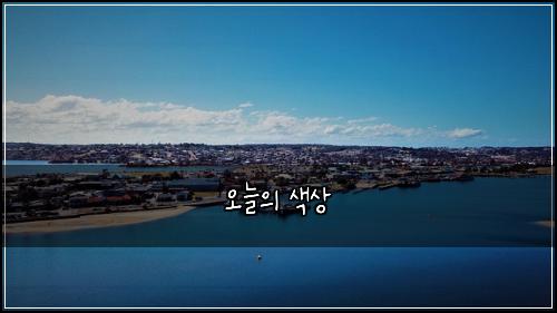 오늘의 색상