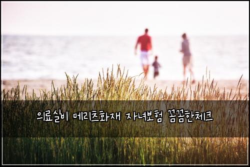 ์๋ฃ์ค๋น ๋ฉ๋ฆฌ์ธ ํ์ฌ ์๋
๋ณดํ ๊ผผ๊ผผํ์ฒดํฌ