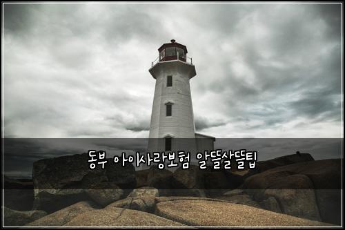 동부 아이사랑보험 알뜰살뜰팁 