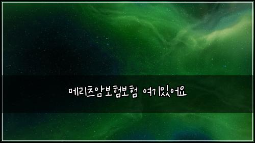 메리츠암보험보험 여기있어요