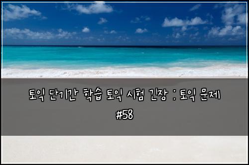 토익 단기간 학습 토익 시험 긴장 : 토익 문제 #58