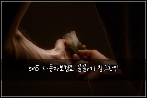 sm5 자동차보험료 꼼꼼r기 참고확인