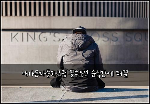 내가든자동차보험 필수분석  순식간에 해결