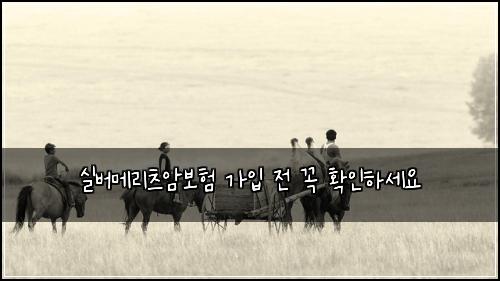 실버메리츠암보험 가입 전 꼭 확인하세요