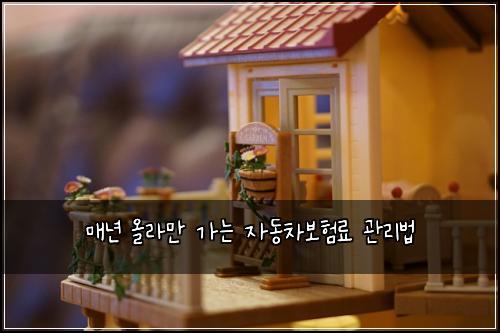 매년 올라만 가는 자동차보험료 관리법