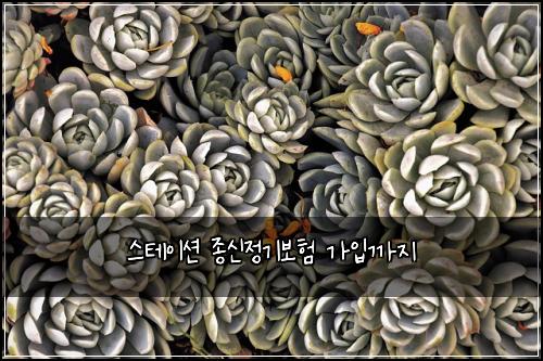 ์คํ
์ด์
์ข
์ ์ ๊ธฐ๋ณดํ ๊ฐ์
๊น์ง