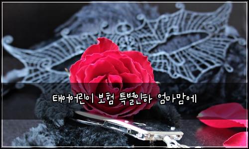 태어어린이 보험 특별인하  엄마맘에