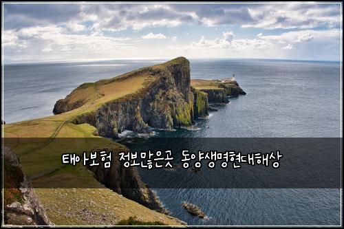 ํ์๋ณดํ ์ ๋ณด๋ง์๊ณณ ๋์์๋ช
ํ๋ํด์