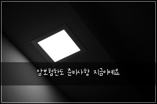 암보험한도 준비사항 지금이예요