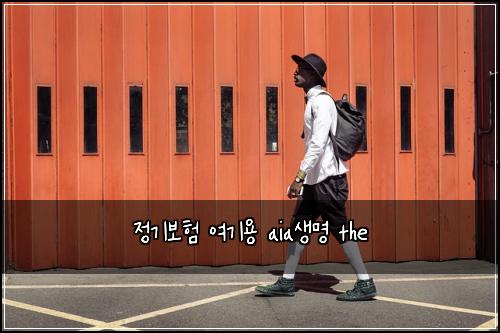정기보험 여기용  aia생명 the