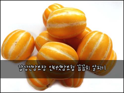 갑상선암보장 인터넷암보험 꼼꼼히 살피기