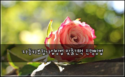 μλ차보νκ°μ
λ°©λ² λ§μΆ€κ²¬μ μ§νλ°©λ²