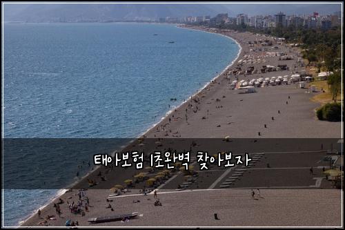 νμ보ν 1μ΄μλ²½ μ°Ύμ보μ