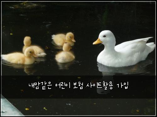 내맘같은 어린이 보험 사이트활용  가입