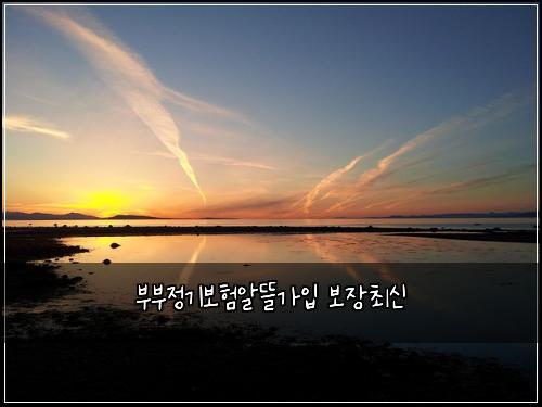 부부정기보험알뜰가입 보장최신