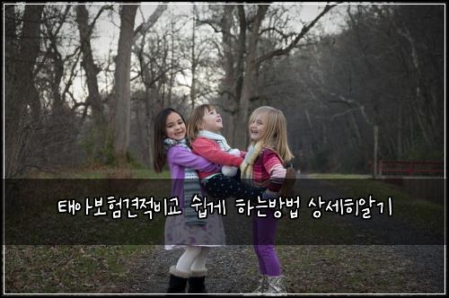 태아보험견적비교 쉽게 하는방법 상세히알기