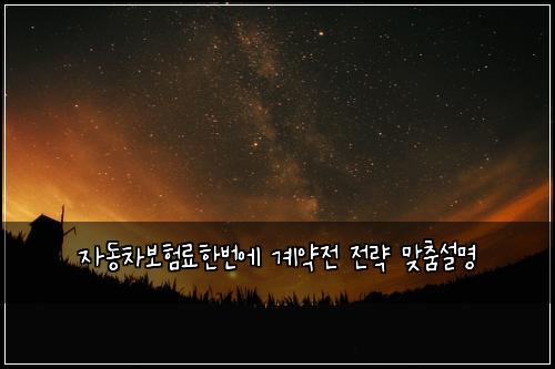 ์๋์ฐจ๋ณดํ๋ฃํ๋ฒ์ ๊ณ์ฝ์ ์ ๋ต ๋ง์ถค์ค๋ช