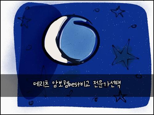 ๋ฉ๋ฆฌ์ธ ์๋ณดํbest๋น๊ต ์ ๋ฌธ๊ฐ์ ํ