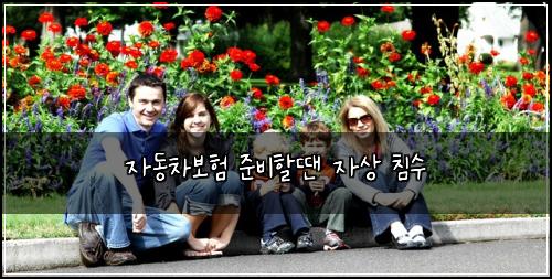 자동차보험 준비할땐  자상 침수