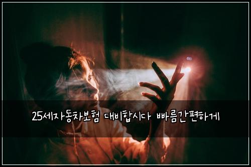 25์ธ์๋์ฐจ๋ณดํ ๋๋นํฉ์๋ค ๋น ๋ฆ๊ฐํธํ๊ฒ