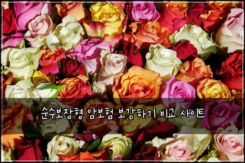 ์์๋ณด์ฅํ ์๋ณดํ ๋ณด๊ฐํ๊ธฐ ๋น๊ต ์ฌ์ดํธ