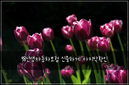 98๋
์์๋์ฐจ๋ณดํ ์ ์คํ๊ฒ ๋ง์ง๋งํ์ธ
