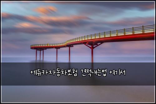 에듀카자동차보험 견적내는법  여기서