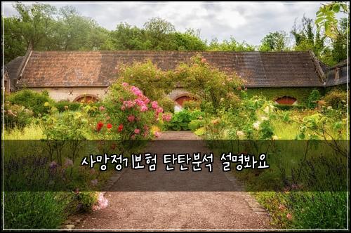 μ¬λ§μ 기보ν ννλΆμ μ€λͺ
λ΄μ