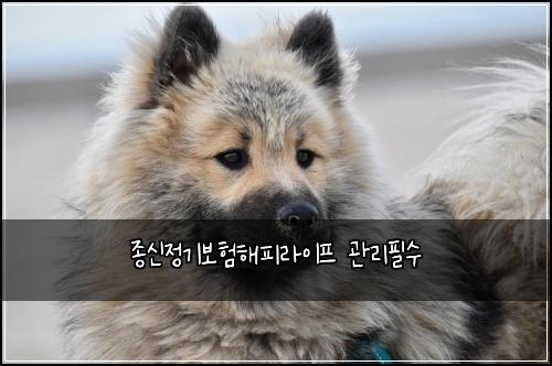 ์ข
์ ์ ๊ธฐ๋ณดํํดํผ๋ผ์ดํ ๊ด๋ฆฌํ์