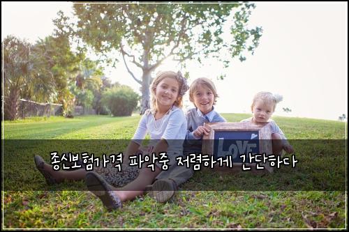 ์ข
์ ๋ณดํ๊ฐ๊ฒฉ ํ์
์ค ์ ๋ ดํ๊ฒ ๊ฐ๋จํ๋ค